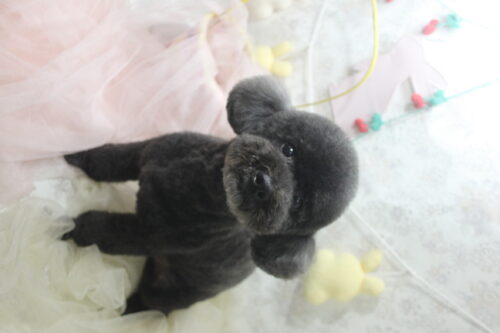 0426%e5%b1%b1%e6%9c%ac%e3%82%a2%e3%83%ab%e3%83%88