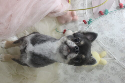 0426%e5%b1%b1%e6%9c%ac%e3%83%99%e3%83%ab