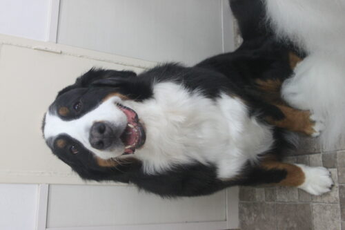 0426%e7%94%b0%e4%b8%ad%e3%83%a1%e3%83%ad