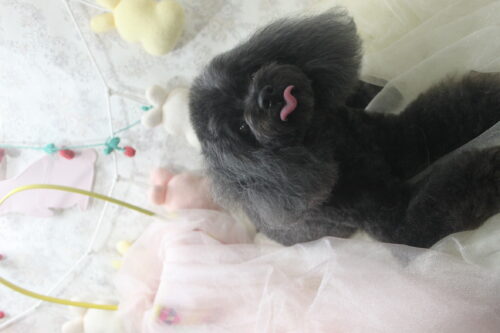 0426%e8%b0%b7%e5%9c%b0%e3%82%ad%e3%82%ad%e3%82%a3