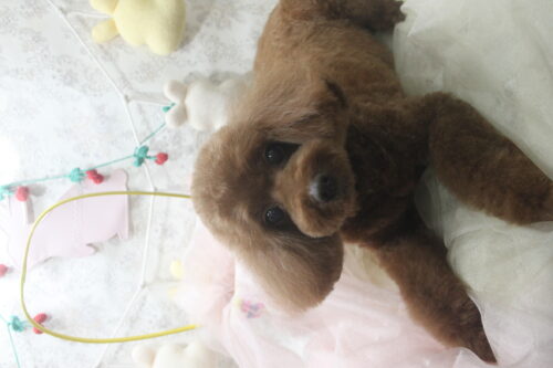 0426%e8%b0%b7%e5%9c%b0%e3%83%a9%e3%83%a9%e3%82%a1