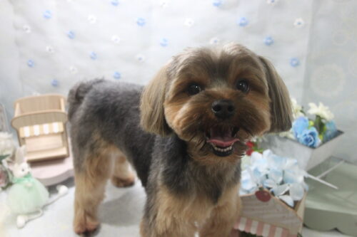 0518%e4%b8%8a%e7%94%b0%e3%82%8c%e3%81%8a%e3%82%93