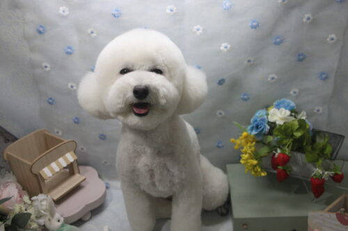 0528%e5%8c%97%e3%83%b6%e5%b8%82%e3%82%b3%e3%82%b3