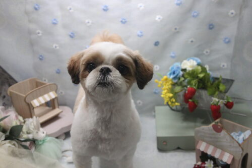 0528%e5%90%89%e7%94%b0%e3%83%aa%e3%83%8a