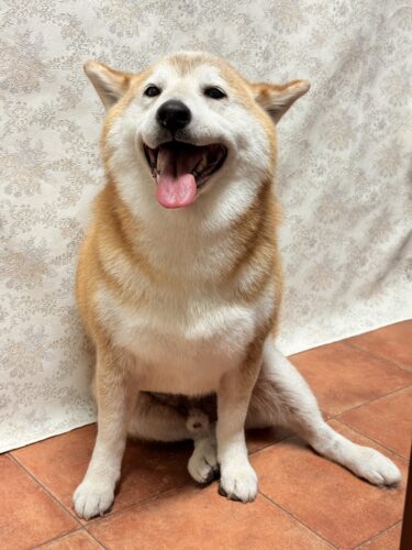 0528%e5%90%89%e8%89%af%e5%a4%a7%e5%90%89