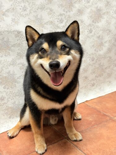 0528%e5%90%89%e8%89%af%e5%a4%a7%e5%92%8c