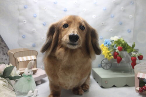 0528%e5%b0%8f%e7%ac%a0%e3%81%95%e3%81%8f%e3%82%89