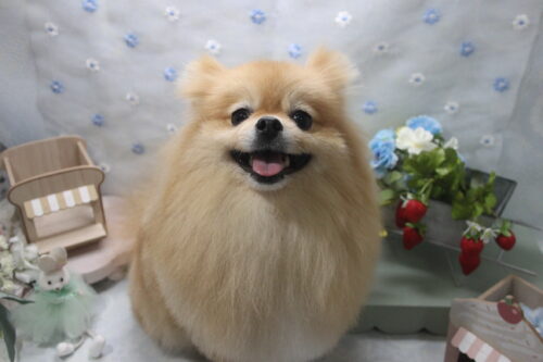 0528%e6%9c%89%e6%9d%91%e3%82%b3%e3%83%ad%e3%83%b3