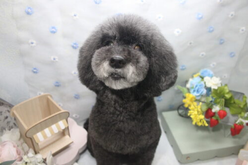 0528%e6%9d%be%e6%9c%ac%e3%83%91%e3%83%89%e3%83%a1