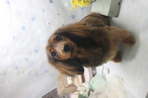 0528%e6%9d%be%e6%9d%91%e3%83%a9%e3%83%96