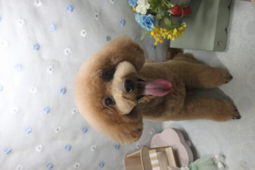 0528%e7%9c%9f%e5%a2%83%e5%90%8d%e3%83%a9%e3%83%83%e3%82%ad%e3%83%bc