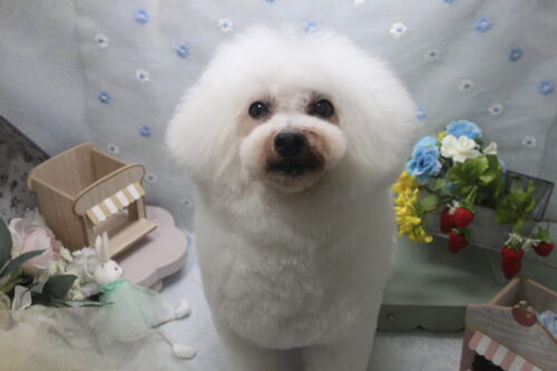 0528%e7%a6%8f%e4%ba%95%e3%83%a9%e3%83%86