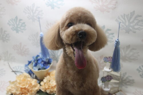 0604%e4%bc%b4%e3%82%b5%e3%83%96%e3%83%ad%e3%83%bc