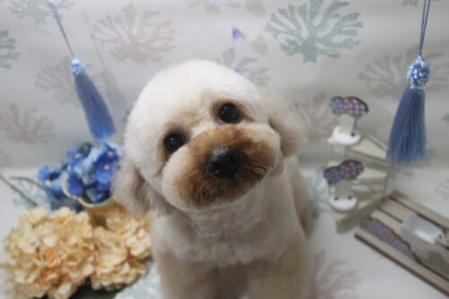 0604%e5%91%89%e5%b1%b1%e3%81%ba%e3%81%93