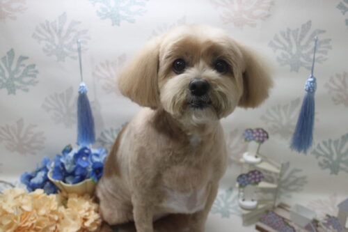 0604%e6%9d%be%e5%b0%be%e3%81%bf%e3%82%8b%e3%81%8f