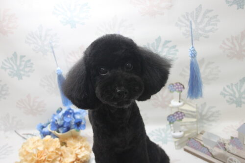 0604%e7%8e%89%e5%9f%8e%e3%81%bc%e3%82%93