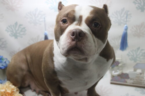 0620%e4%b8%ad%e5%b3%b6%e3%83%8f%e3%83%8a