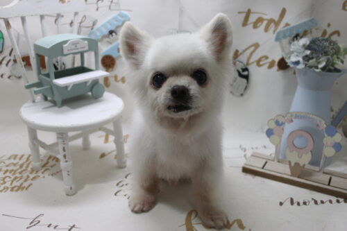 0807%e5%a0%82%e6%9d%b1%e3%82%bd%e3%83%a9