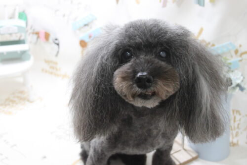 0809%e4%b8%89%e5%8f%8d%e7%94%b0%e3%83%95%e3%82%a1%e3%83%93