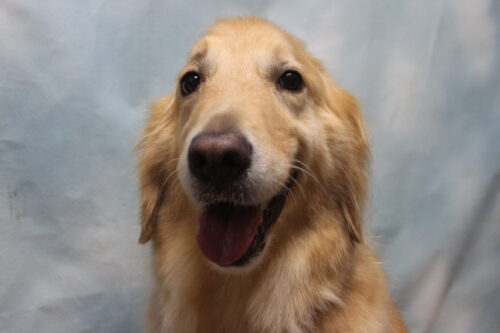 0809%e4%b8%ad%e5%a1%9a%e3%83%a9%e3%83%a0