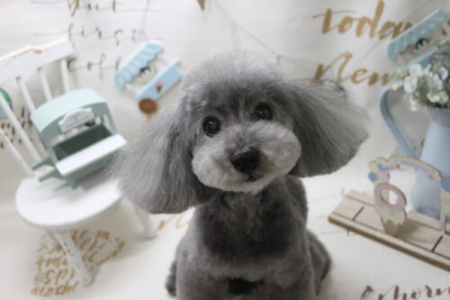 0809%e7%89%87%e4%b8%8a%e3%83%9f%e3%83%ab