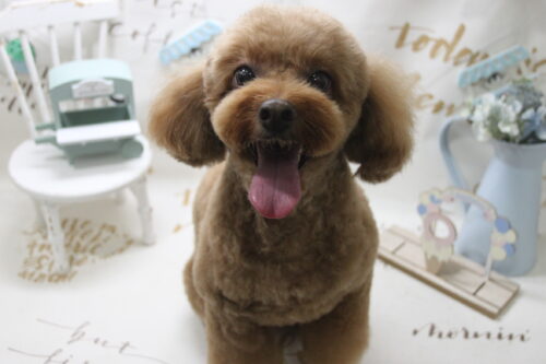 0809%e8%97%a4%e4%ba%95%e3%82%a2%e3%83%b3