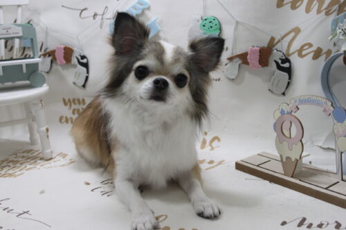 0809%e9%ab%98%e6%a8%8b%e3%82%82%e3%81%88