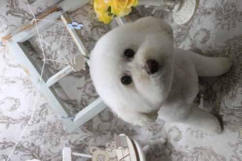 0905%e5%b1%b1%e4%b8%8b%e3%83%ad%e3%83%8a