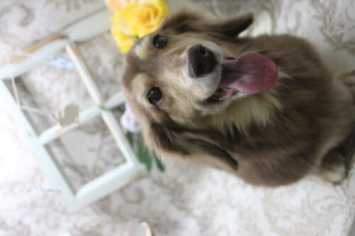 0905%e8%8b%a5%e6%9e%97%e3%82%b5%e3%83%96%e3%83%ac