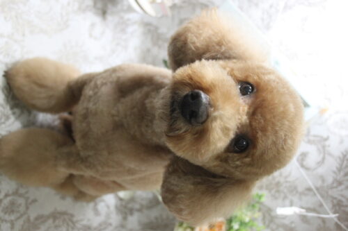 0905%e8%8f%85%e7%94%b0%e7%a9%ba