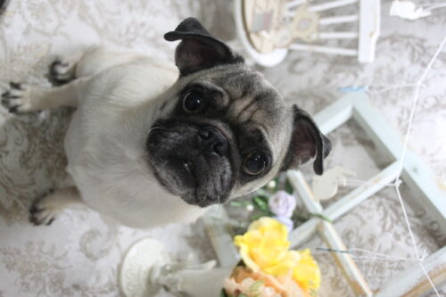 0906%e5%a6%b9%e5%b0%be%e3%83%9e%e3%83%bc%e3%83%86%e3%82%a3%e3%83%b3