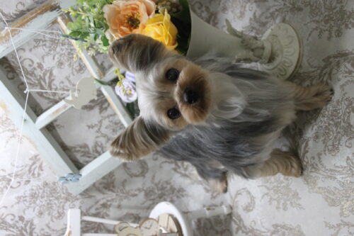 0910%e4%b8%b8%e7%94%b0%e3%81%b1%e3%81%82%e3%82%8b