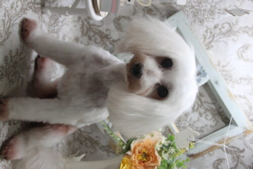 0910%e5%8a%a0%e8%97%a4%e3%82%ad%e3%83%a3%e3%83%b3%e3%83%87%e3%82%a4