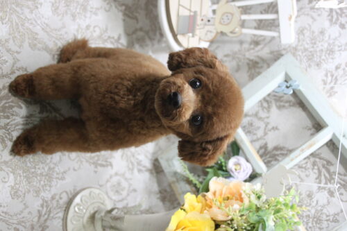 0910%e7%89%87%e5%b1%b1%e3%83%a9%e3%83%86