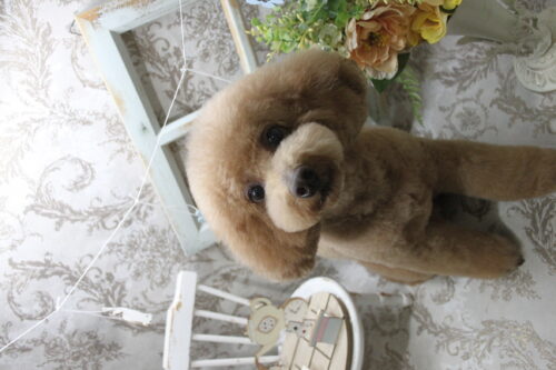 0910%e7%9c%9f%e5%a2%83%e5%90%8d%e3%83%a9%e3%83%83%e3%82%ad%e3%83%bc