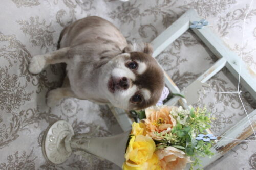 0910%e9%95%b7%e7%80%ac%e3%82%b3%e3%82%b3%e3%82%a2