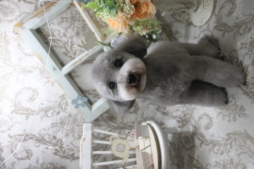 0927%e5%a4%a7%e5%b6%8b%e3%81%82%e3%82%80%e3%82%8b