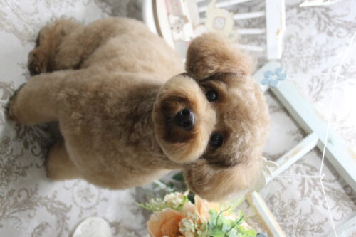 0927%e7%94%b0%e4%b8%8a%e3%81%82%e3%82%93