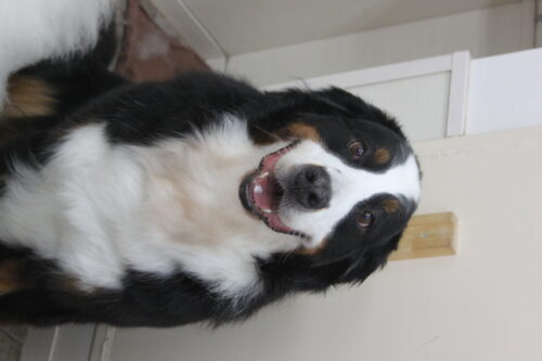 0927%e7%94%b0%e4%b8%ad%e3%83%a1%e3%83%ad