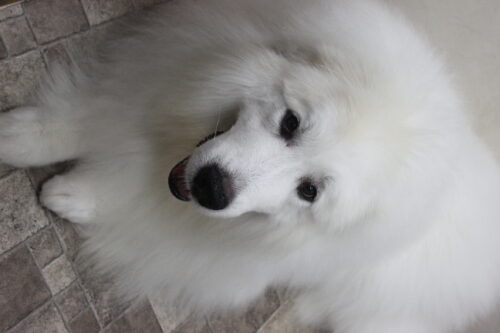 0927%e7%94%b0%e4%b8%ad%e4%b9%b1%e3%80%82