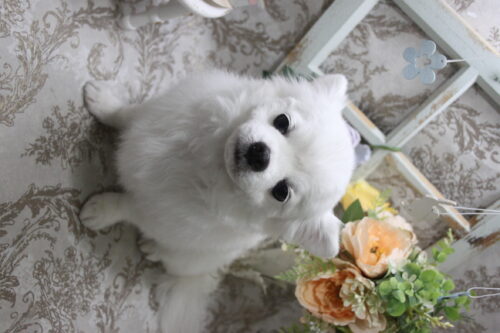 0927%e7%99%be%e6%b4%a5%e3%83%ac%e3%82%aa