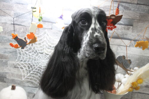 1003%e4%bd%8f%e5%80%89%e3%83%90%e3%83%ad%e3%83%b3