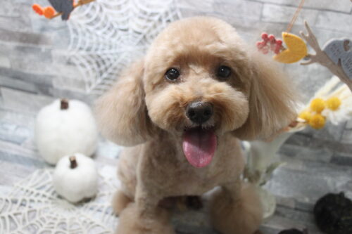 1003%e7%a7%8b%e7%af%a0%e3%81%8f%e3%81%86%e3%82%8b