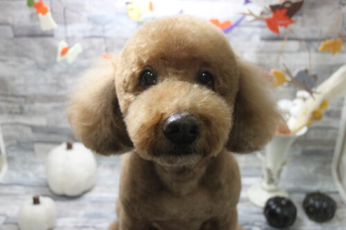 1003%e8%8f%85%e7%94%b0%e7%a9%ba