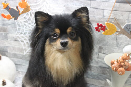 1003%e8%97%aa%e4%b8%ad%e3%83%ab%e3%83%8a