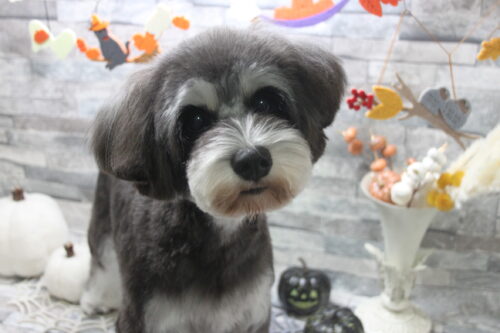 1011%e6%b0%b4%e5%b3%b6%e3%81%82%e3%82%93%e3%81%9a