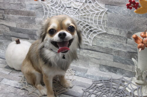 1019%e4%b9%85%e6%81%92%e3%81%8d%e3%81%aa%e3%81%93