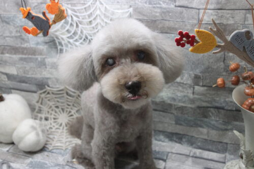 1029%e4%bb%b2%e5%b3%b6%e3%83%a0%e3%83%bc%e3%83%88%e3%83%b3