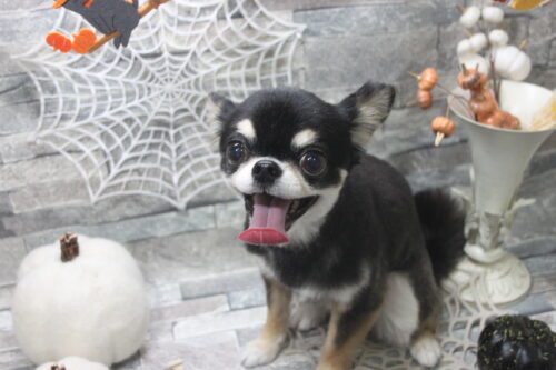 1029%e5%a5%a5%e6%9d%91%e3%82%a8%e3%83%89%e3%83%af%e3%83%bc%e3%83%89