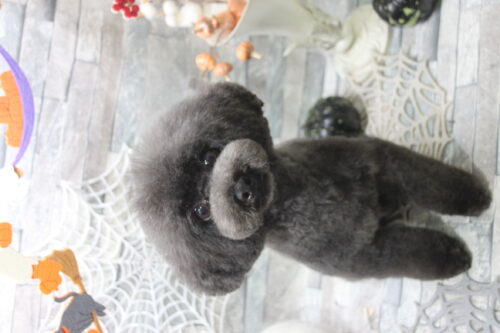 1029%e5%b0%8f%e7%ac%a0%e5%8e%9f%e3%83%88%e3%83%88%e3%83%ad